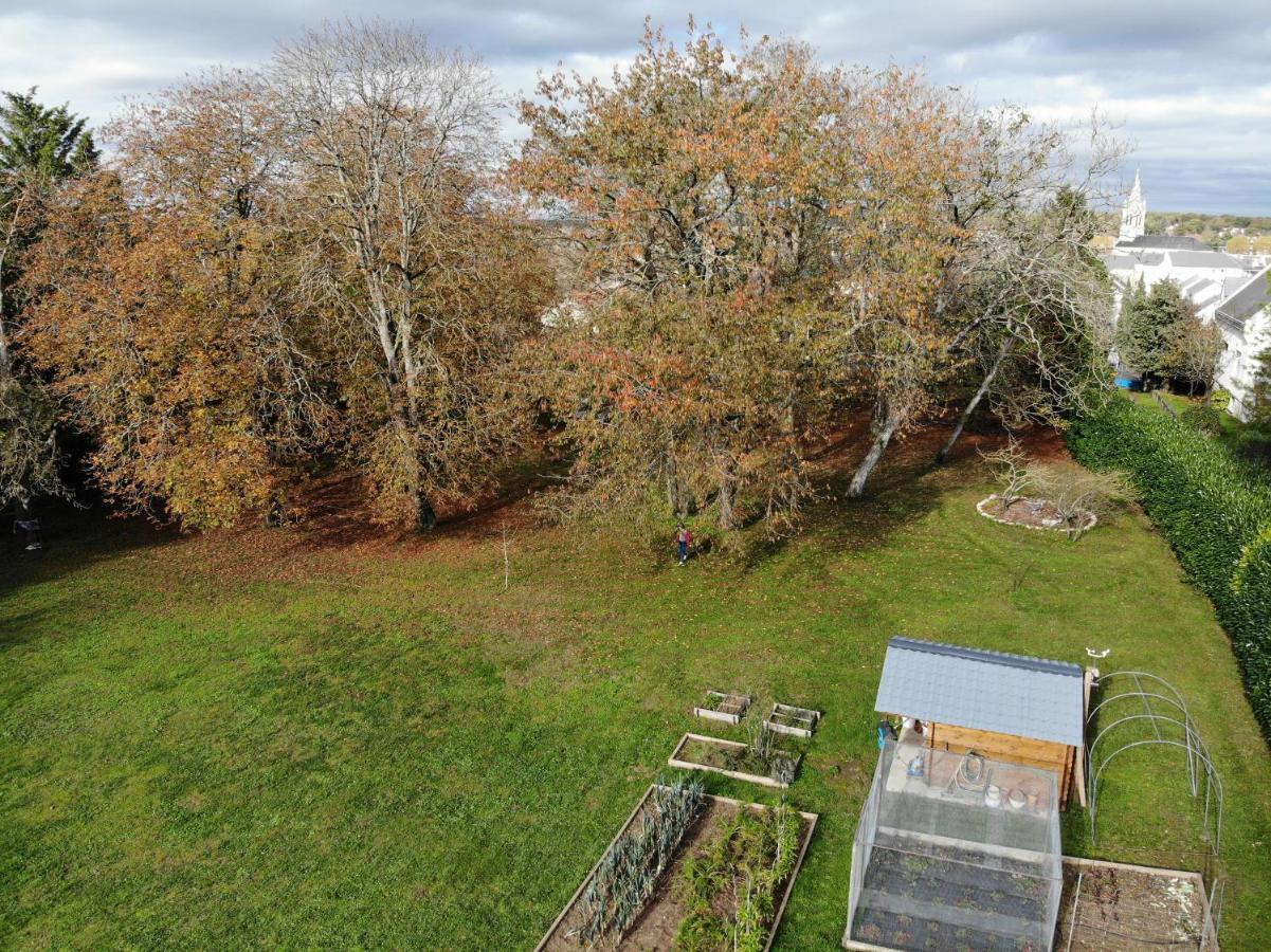 Domaine Du Moulin A Vent - Gite & Spa Saint-Florent-sur-Cher Exteriör bild